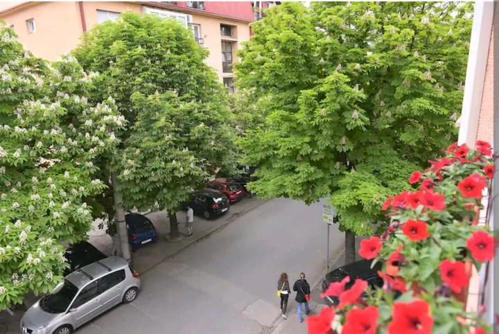 Milica Apartments Skopje Luaran gambar
